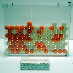 Add the desired amount of ping-pong balls and arrange in an ordered fashion