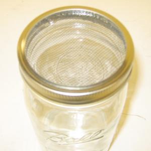  	Pour water through the screen to fill the fruit jar.  Place the laminated card over the mouth of the jar and turn the jar upside down.