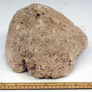 The pumice rocks have a density which allows them to float in water much like an iceberg.