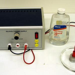 Pour Silicon Oil into the Petri dish to a depth of 1/4 inch.  Place the electrodes into the dish and space them about 1/8 in apart.  The higher you turn up the voltage on the power supply, the higher the oil will climb in the gap between the electrodes.  The oil should rise at least 1 to 1.5 cm up into the gap. 