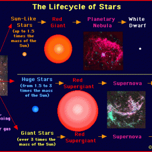 Photo Credit -  http://www.enchantedlearning.com/subjects/astronomy/stars/lifecycle/