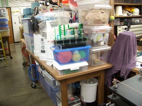 Storage