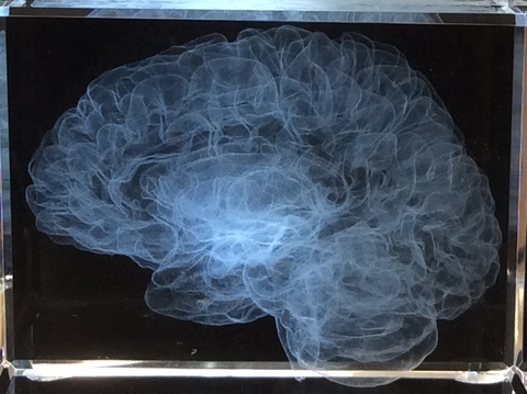 Brain Scan