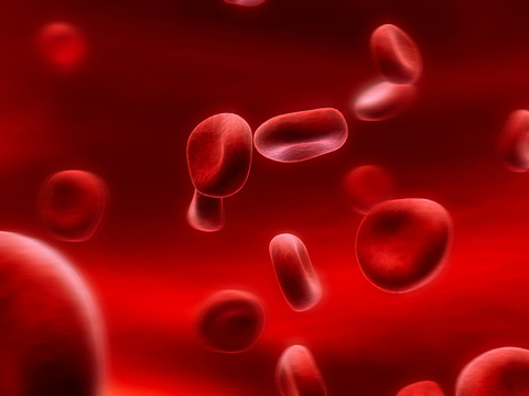 Red Blood Cells