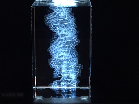 DNA RNA