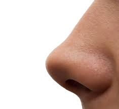 Nose