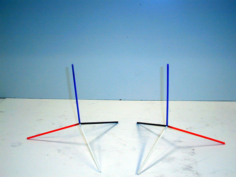 Mirror Image Models