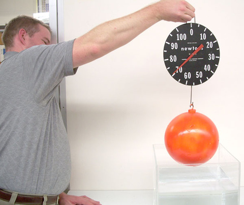 Person holding a scale, bowling ball 