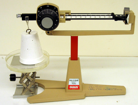 2a10.30a.jpg