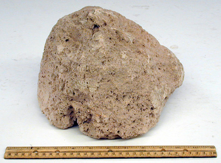 Pumice Rock 
