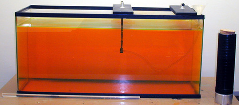  Fish Tank and Fluorescein Dyed Water