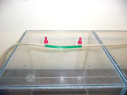Rubber hose with glass tube at one end