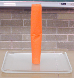 2 ply napkins 