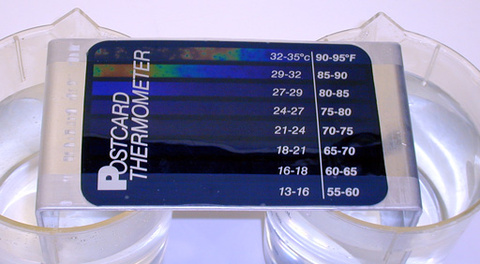 Aluminum Plate with Attached Postcard Liquid Crystal, and Two Beaker