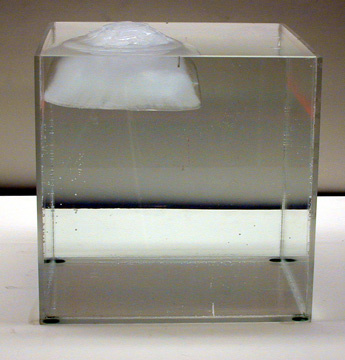 Large Ice Cube, Plexiglas Tank, and Water 