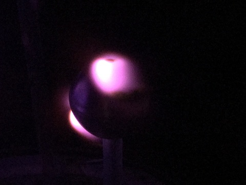 Auroral Lobes