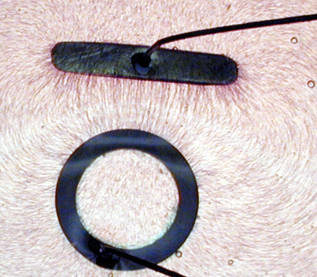 Felt Powder