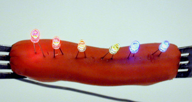 LED's in a hot dog