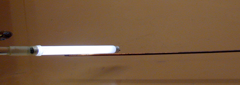 Fluorescent Lite