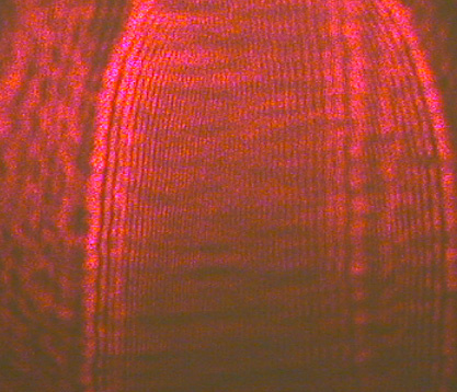 Alcohol Film Image