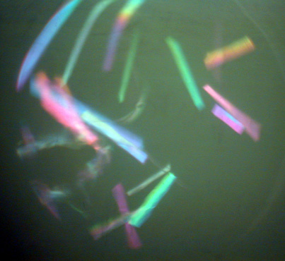 Cellophane Polarization Image