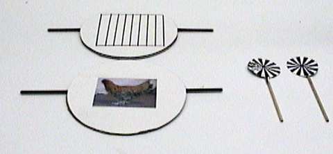 Persistance of Vision Rotators