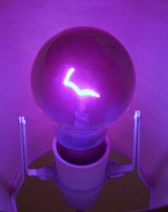 Light Bulb