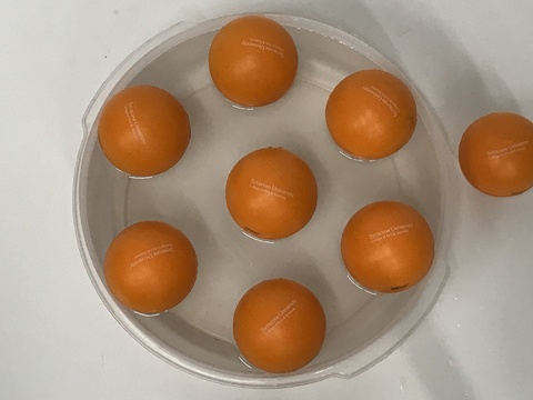 Plum Pudding Model