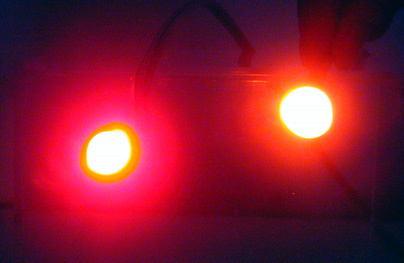 2 Red Lights