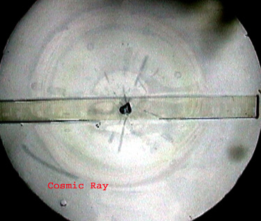 Cosmic Ray