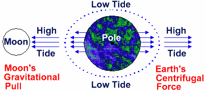 Diagram of Moon's Gravitational Pull & Earth's Centrifugal Force