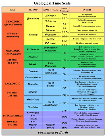 Geological Timeline Chart