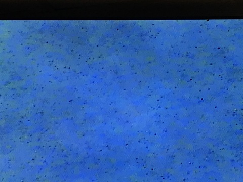 Pond Scum