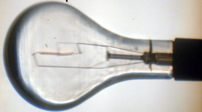 Light Bulb