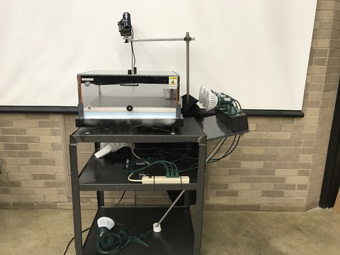 Cosmic Rays Demo
