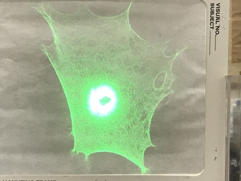 Water Drop Caustic
