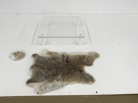 Electrophorus, Cat's Fur, & Vermiculite Particles