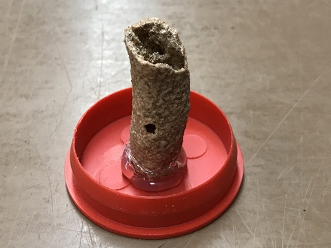 Fulgurite - Lightning Fused Sand